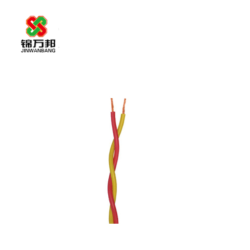 RVS雙絞線.jpg